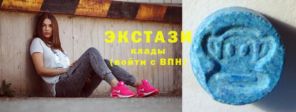 индика Вязьма