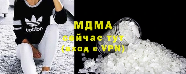 индика Вязьма