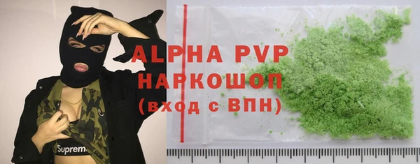 индика Вязьма