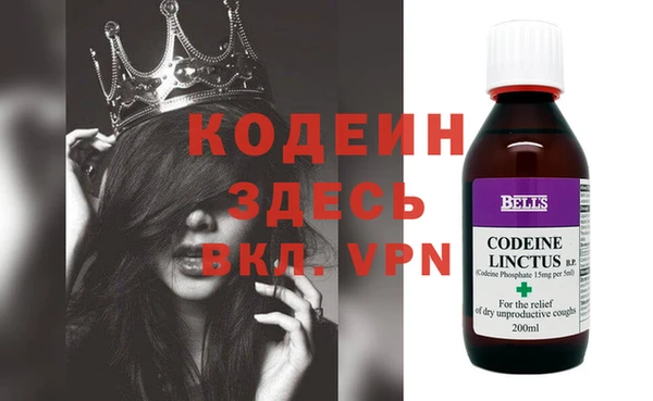 индика Вязьма