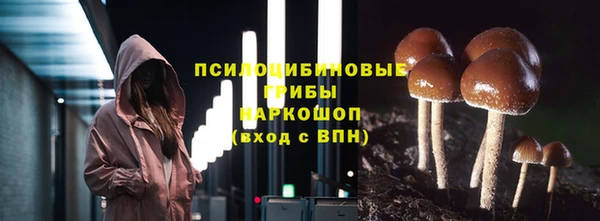 индика Вязьма