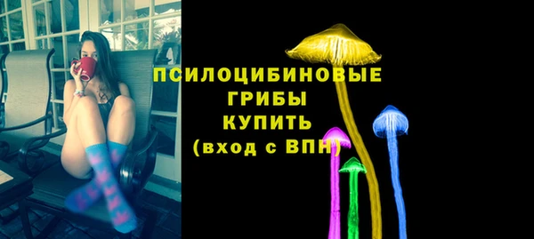 индика Вязьма