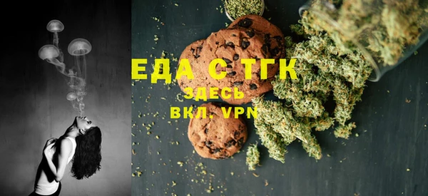 индика Вязьма
