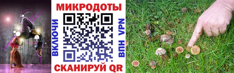 Галлюциногенные грибы мухоморы  Купить закладки  Бакал 